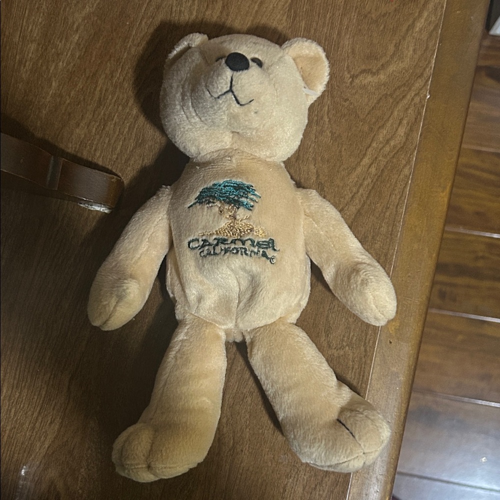 Carmel Valley, teddy bear Plush Tan